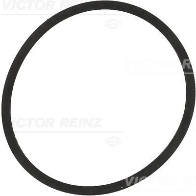 Billede af REINZ 71 34204 00 Indsugningspakning VOLKSWAGEN: GOLF 4, 5, 6, SKODA: Octavia II Hatchback, 2 Combi, Fabia 1 Combi