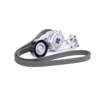 Billede af SKF VKMA 31204 Kileribberem VOLKSWAGEN: Golf 4, Multivan 5 (7HM, Transporter 5, SKODA: Octavia 1 Combi, I Hatchback