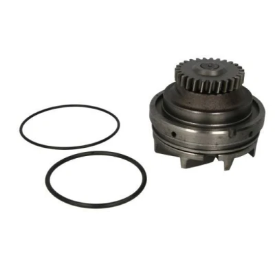 Billede af THERMOTEC WP RV115 Vandpumpe med pakning mekanisk