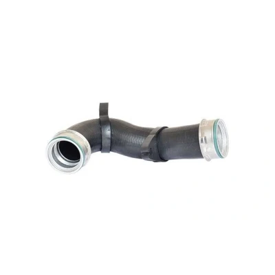 Billede af BUGIAD 82697 Trykslange VOLKSWAGEN: Golf 4, 4 Variant, SEAT: Leon II Hatchback, I Toledo 2 Limousine