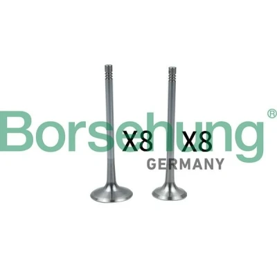 Billede af Borsehung B18637 Indsugningsventil VOLKSWAGEN: Polo V Hatchback, GOLF 6, Touran I, SKODA: Octavia 2 Combi, Fabia I II Hatchback