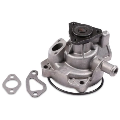 Billede af HEPU P530 Vandpumpe med pakninger, pakning mekanisk Metal VOLKSWAGEN: TRANSPORTER 3 Bus, Kasten,
