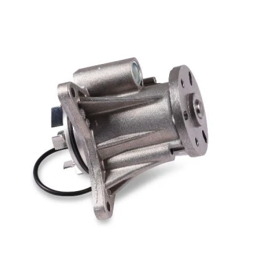 Billede af HEPU P2609 Vandpumpe med pakning mekanisk JAGUAR: S Type