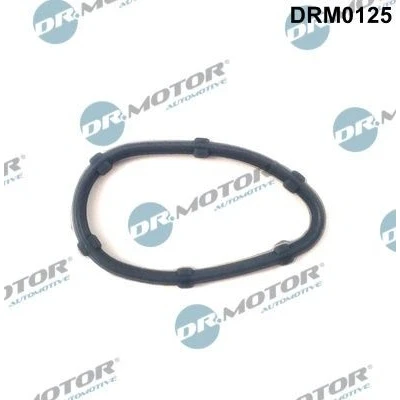 Billede af DR.MOTOR AUTOMOTIVE DRM0125 Udstødningspakning Cylinderhoved RENAULT: Kangoo I Express, CLIO 2, OPEL: Vivaro A Combi