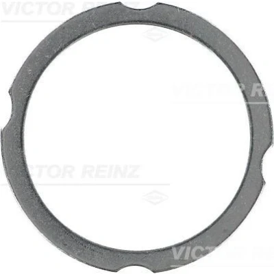 Billede af REINZ 61 38260 00 Toppakning 3