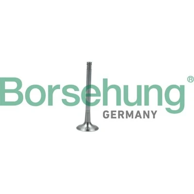 Billede af Borsehung B19011 Udstødningsventil VOLKSWAGEN: GOLF 6, Passat B7 Variant, Polo V Hatchback, AUDI: A4 B8 Avant, SKODA: Octavia 2 Combi