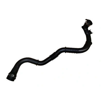 Billede af BUGIAD 88760 Trykslange RENAULT: GRAND SCENIC 2
