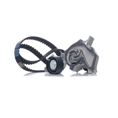 Billede af MAGNETI MARELLI Vandpumpe + Tandremssæt Sprinklerpumpe 117 1114mm 22mm FORD: Fusion Stationcar, Focus 2 Kombi, FIESTA 5, VOLVO: V50