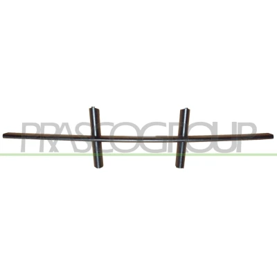 Billede af BLIC 6502 07 0066993PQ Kofangergitter foran BMW: 5 Touring