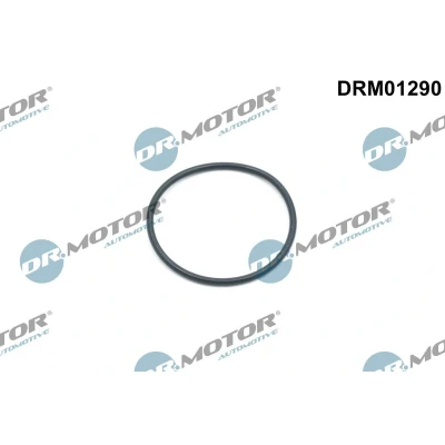 Billede af DR.MOTOR AUTOMOTIVE DRM01290 Pakring, taktkædestrammer