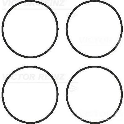 Billede af REINZ 11 41336 01 Pakningssæt, indsugningsmanifold BMW: 5 Touring, 3 Sedan, Touring