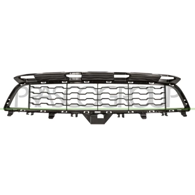 Billede af PRASCO BM4002120 Kofangergitter foran