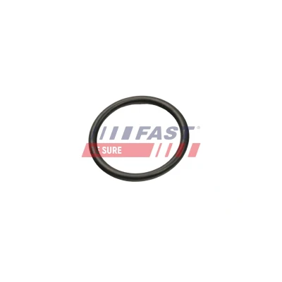 Billede af FAST FT50013 Indsugningsventil 41