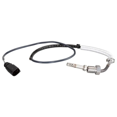 Billede af HELLA 6PT 010 376 231 Sensoren med varmebeskyttelses rør SEAT: Ibiza 4