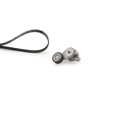 Billede af GATES K015PK493 Kileribberem ThermalPro VOLKSWAGEN: Polo V Hatchback, Golf 5, Passat B6 Variant, SKODA: Fabia 2, SEAT: Ibiza 4, 4 ST