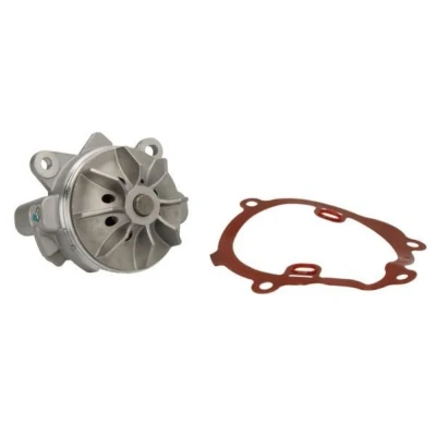 Billede af THERMOTEC D1X045TT Vandpumpe med pakning mekanisk RENAULT: ESPACE 4, LAGUNA 2
