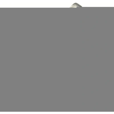 Billede af TRW BDA996 Bremsekaliber Holder RENAULT: MEGANE 3 Grandtour, GRAND SCENIC 3,