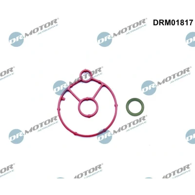 Billede af DR.MOTOR AUTOMOTIVE DRM01817 Pakninger CITROËN: C4 II Hatchback, FORD: KUGA 2