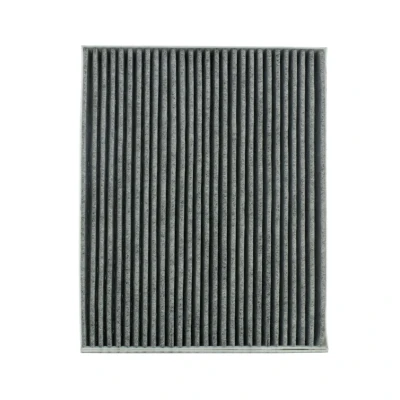 Billede af Filter, indvendig luft KAMOKA F513201