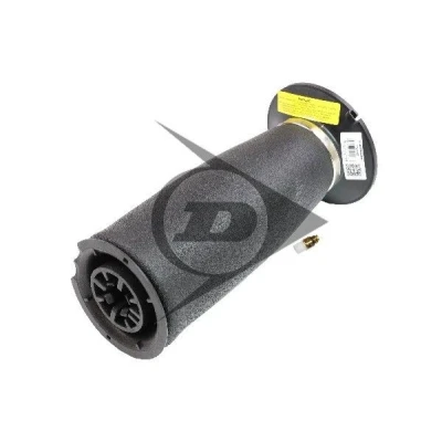 Billede af AIC 71100 Luftfjeder, undervogn bag BMW: 5 Touring