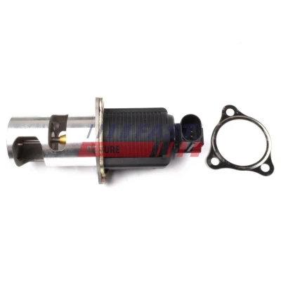 Billede af FAST FT60209 EGR Ventil uden pakninger med adapter, Styrebox/Software skal læres/opdateres. OPEL: Vivaro A Combi