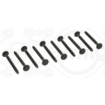 Billede af ELRING 481.900 Strækbolte ydre polygonhoved NISSAN: Qashqai 2, X Trail, RENAULT: MEGANE 3 Grandtour, GRAND SCENIC