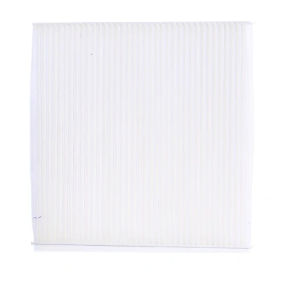 Billede af Filter, indvendig luft ASHIKA 21 SM SM2