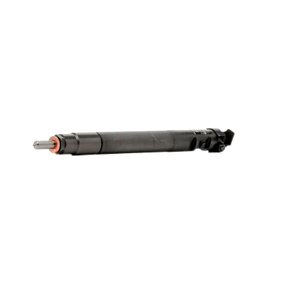 Billede af DELPHI R00101DP Dyseholder