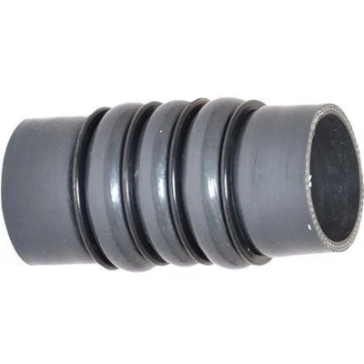 Billede af BUGIAD 88736 Trykslange 56 PEUGEOT: 206 Hatchback