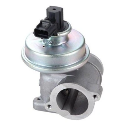 Billede af MAGNETI MARELLI 571822112109 EGR Ventil FORD: MONDEO 3 Kombi,