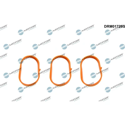 Billede af DR.MOTOR AUTOMOTIVE DRM01729S Pakningssæt, indsugningsmanifold nede