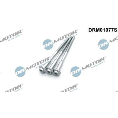 Billede af DR.MOTOR AUTOMOTIVE DRM01077S Skrue, indsprøjtningsdyseholder VOLKSWAGEN: Polo V Hatchback, SKODA: Fabia 2, SEAT: Ibiza 4 Sportcoupe