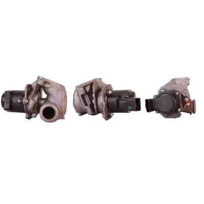 Billede af ELSTOCK 72 0002 EGR Ventil elektrisk med pakninger PEUGEOT: 207 SW, 5008 I, 308 I CITROËN: C4 Grand Picasso, Picasso 1, Hatchback