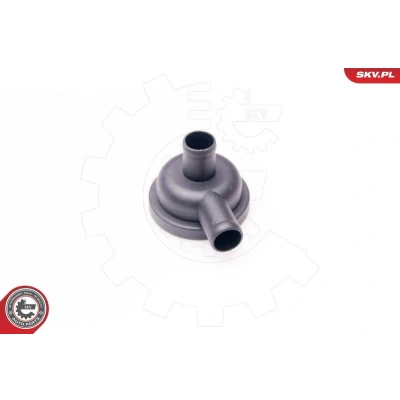 Billede af ESEN SKV 31SKV010 Ventil, krumtaphusudlufting Udluftningsventil Cylinderhoved AUDI: A4 B6/B7 Cabriolet, B5 Sedan, B6 Avant