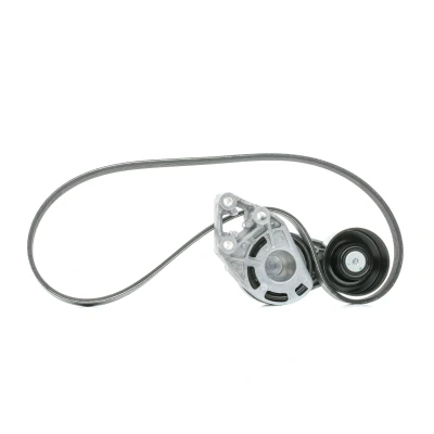 Billede af SKF VKMA 31036 Kileribberem SKODA: Fabia 2, Roomster, I Hatchback, VOLKSWAGEN: Polo IV Lupo / 3L, AUDI: A2