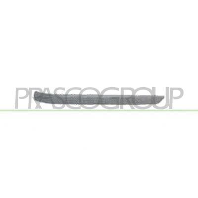 Billede af Pynte /beskyttelsesliste, kofanger PRASCO BM0181254