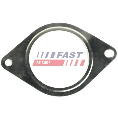 Billede af FAST FT84701 Møtrik, udstødningsmanifold PEUGEOT: 106 II Hatchback, FIAT: Ducato Bus, OPEL: Astra J Sports Tourer