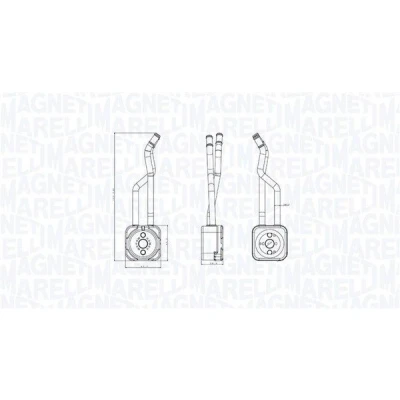 Billede af MAGNETI MARELLI 350300003800 Olieradiator SEAT: Leon I Hatchback, VOLKSWAGEN: Golf 4
