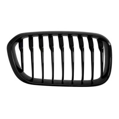 Billede af BLIC 6502 07 0086998P Kølergitter foran til højre BMW: 1 Hatchback, Hatchback
