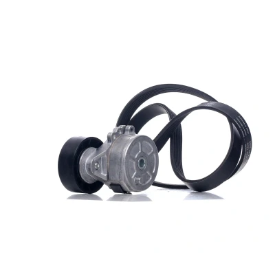 Billede af SKF VKMA 34210 Kileribberem FORD: Galaxy Mk2 MPV, S Max Mk1