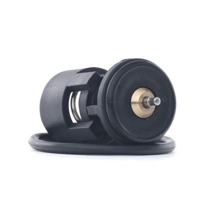 Billede af JP GROUP 1114600711 Termostat med pakning VOLKSWAGEN: Golf 4, Polo V Hatchback, 5, SEAT: Ibiza 4 Sportcoupe, Altea,