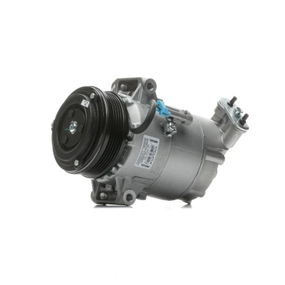 Billede af DELPHI TSP0155449 Kompressor 6CVC PAG 46 med kompressorolie OPEL: Astra H Hatchback, Zafira B, A