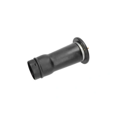 Billede af KAVO PARTS SAS 10025 Luftfjeder, undervogn bagaksel
