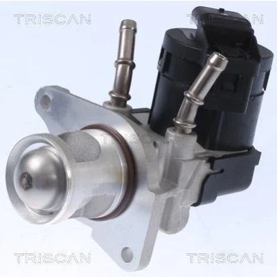 Billede af TRISCAN 8813 11001 EGR Ventil elektrisk med pakninger, uden køler BMW: 3 Touring, 1 Hatchback, 5 Sedan