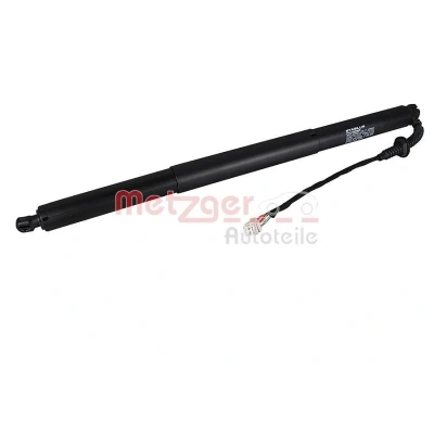 Billede af Elmotor, bagklap METZGER 2115044
