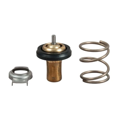 Billede af GATES TH49288G1 Termostat 88 med pakninger FIAT: BRAVO 2, ALFA ROMEO: Giulietta Hatchback