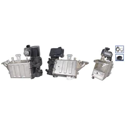 Billede af DRI 717730323 EGR Ventil elektrisk med pakninger VOLKSWAGEN: Crafter Van