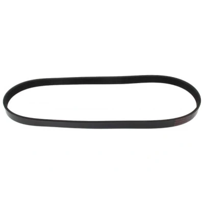 Billede af MAPCO 250860 Kileribberem 860 5 EPDM (ethyl propylen dien gummi) HONDA: CIVIC 9, 8 Hatchback, Jazz 3, CITROËN: Berlingo / First I