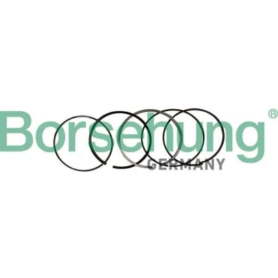 Billede af Stempelringsæt Borsehung B10369