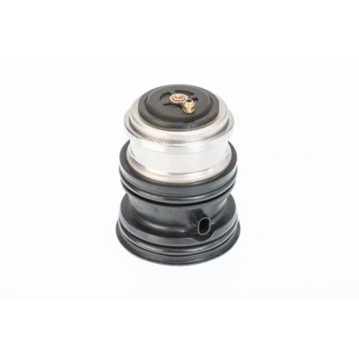 Billede af WAHLER 410448.107D Termostat 107 PORSCHE: Cayenne
